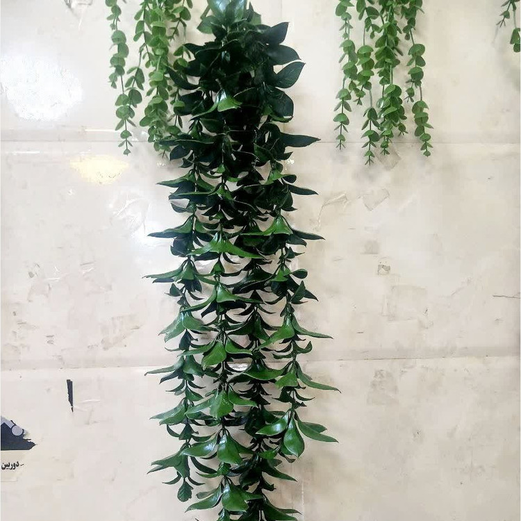 آویز گل برگ درشت پرتقالی