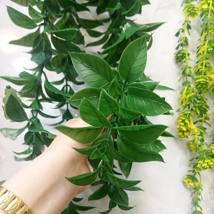 آویز گل برگ درشت پرتقالی