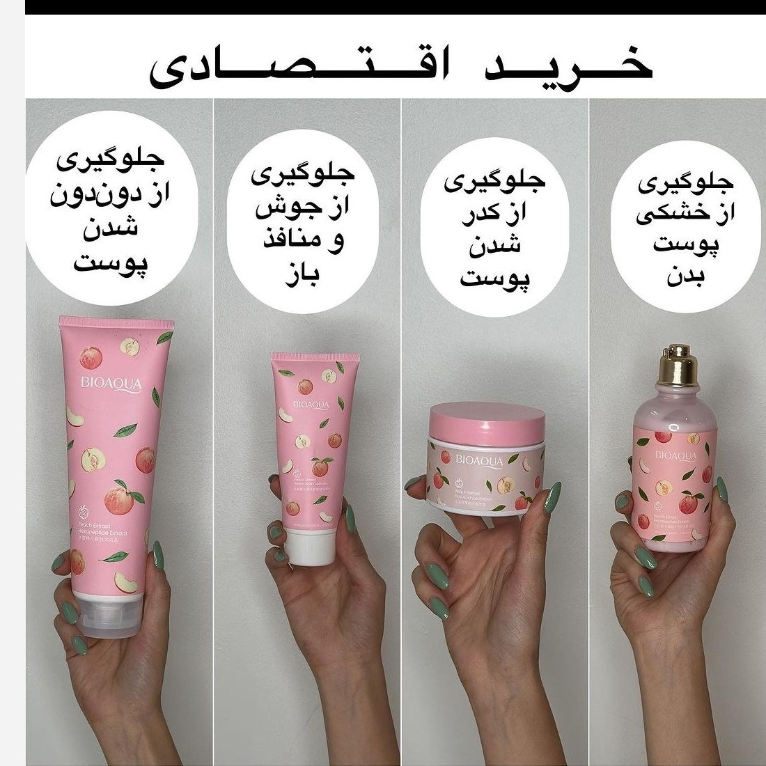 پک هلو مدل خرید اقتصادی(قیمت مناسب،عرضه مستقیم)